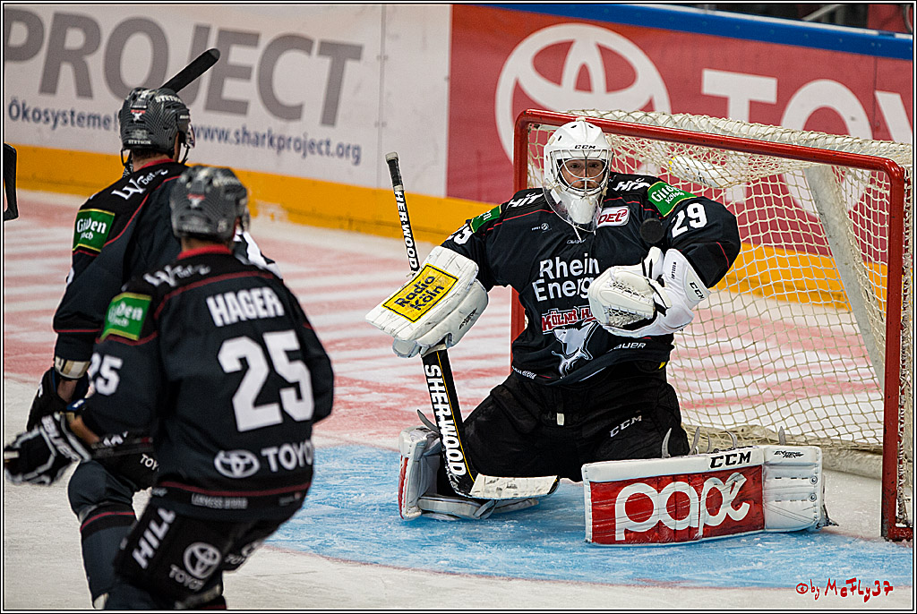 Koelner Haie - EHC Red Bull Muenchen , 16.09.16(KW37)